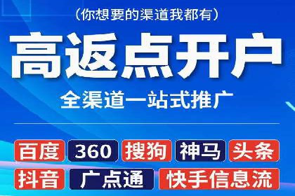 SEM代运营公司案例分析报告